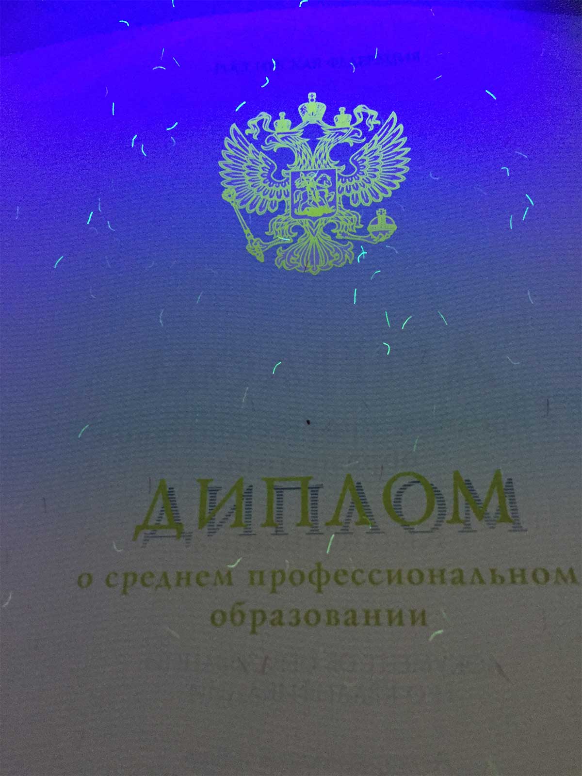 Диплом техникума, колледжа 2014-2024 Фото